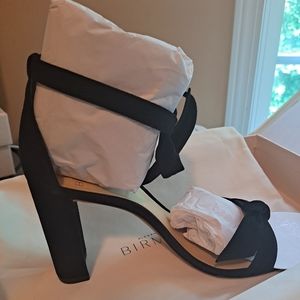 Everything MustGo - Alexandre Birman Clarita Block heels Suede